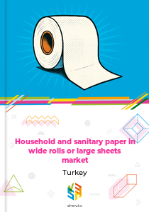 Household and sanitary paper in wide rolls or large sheets market Turkey