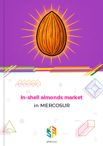 In-shell almonds market in MERCOSUR