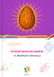 In-shell almonds market in Northern America