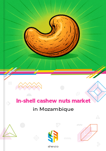 In-shell cashew nuts market in Mozambique