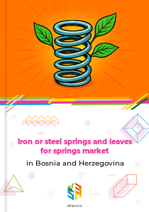 Iron or steel springs and leaves for springs market in Bosnia and Herzegovina