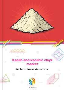 Kaolin and kaolinic clays market in Northern America