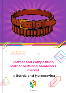 Leather and composition leather belts and bandoliers market in Bosnia and Herzegovina