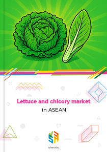 Lettuce and chicory market in ASEAN