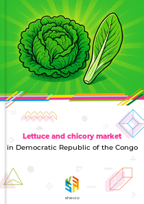 Lettuce and chicory market in Democratic Republic of the Congo