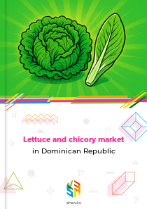 Lettuce and chicory market in Dominican Republic