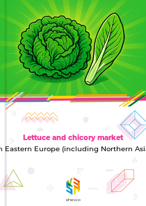 Lettuce and chicory market in Eastern Europe (including Northern Asia)