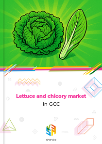 Lettuce and chicory market in GCC