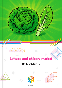 Lettuce and chicory market in Lithuania