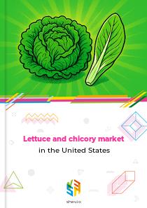Lettuce and chicory market in the United States