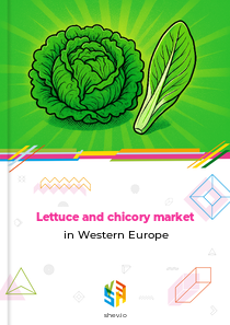 Lettuce and chicory market in Western Europe