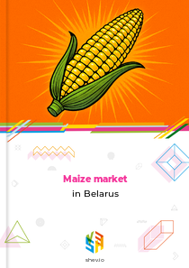 Maize market in Belarus