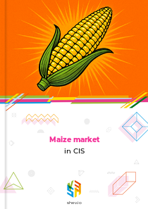 Maize market in CIS