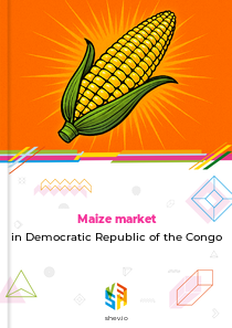 Maize market in Democratic Republic of the Congo