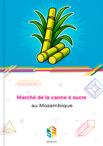 Marché de la canne à sucre au Mozambique