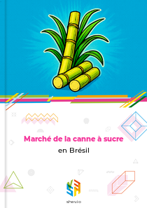 Marché de la canne à sucre en Brésil