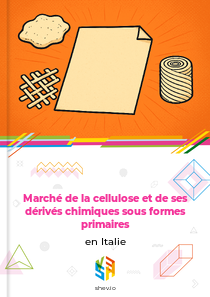 Marché de la cellulose et de ses dérivés chimiques sous formes primaires en Italie