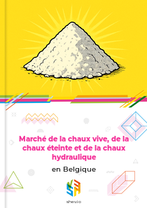 Marché de la chaux vive, de la chaux éteinte et de la chaux hydraulique en Belgique