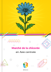 Marché de la chicorée en Asie centrale