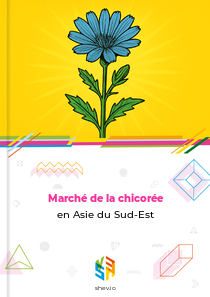 Marché de la chicorée en Asie du Sud-Est