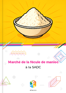 Marché de la fécule de manioc à la SADC