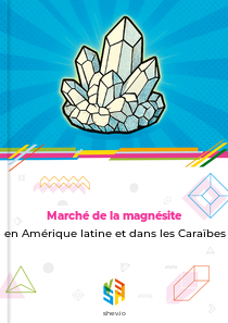 Marché de la magnésite en Amérique latine et dans les Caraïbes