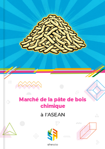 Marché de la pâte de bois chimique à l'ASEAN