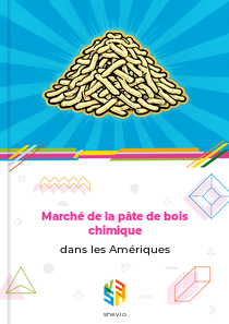 Marché de la pâte de bois chimique dans les Amériques