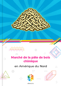 Marché de la pâte de bois chimique en Amérique du Nord