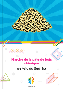 Marché de la pâte de bois chimique en Asie du Sud-Est