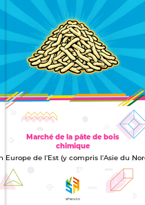 Marché de la pâte de bois chimique en Europe de l'Est (y compris l'Asie du Nord)
