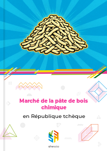 Marché de la pâte de bois chimique en République tchèque