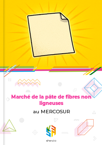 Marché de la pâte de fibres non ligneuses au MERCOSUR