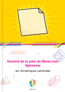 Marché de la pâte de fibres non ligneuses en Amérique centrale