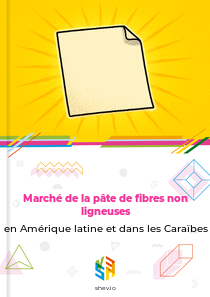 Marché de la pâte de fibres non ligneuses en Amérique latine et dans les Caraïbes