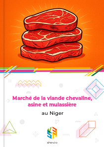 Marché de la viande chevaline, asine et mulassière au Niger