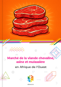 Marché de la viande chevaline, asine et mulassière en Afrique de l'Ouest