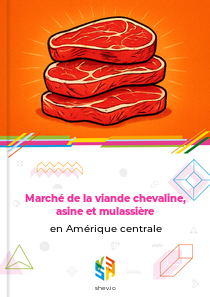 Marché de la viande chevaline, asine et mulassière en Amérique centrale
