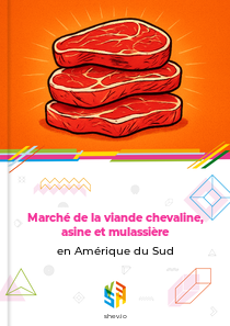 Marché de la viande chevaline, asine et mulassière en Amérique du Sud