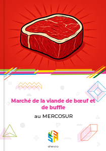 Marché de la viande de bœuf et de buffle au MERCOSUR