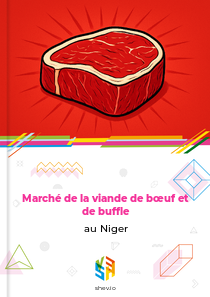 Marché de la viande de bœuf et de buffle au Niger