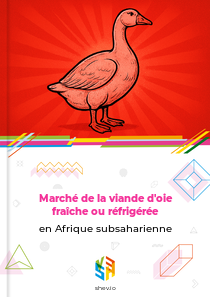 Marché de la viande d'oie fraîche ou réfrigérée en Afrique subsaharienne