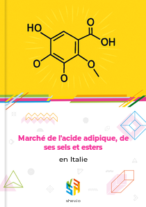 Marché de l'acide adipique, de ses sels et esters en Italie