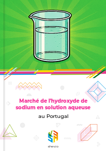 Marché de l'hydroxyde de sodium en solution aqueuse au Portugal
