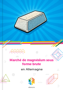 Marché de magnésium sous forme brute en Allemagne