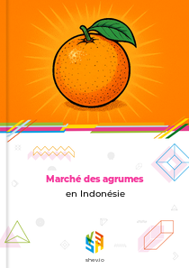 Marché des agrumes en Indonésie