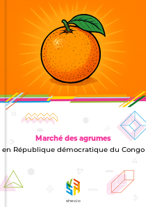 Marché des agrumes en République démocratique du Congo
