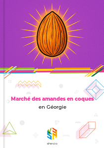 Marché des amandes en coques en Géorgie
