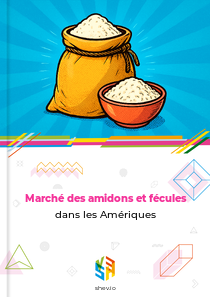 Marché des amidons et fécules dans les Amériques