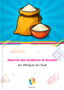 Marché des amidons et fécules en Afrique du Sud